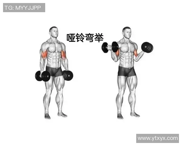 如何选择适合自己的健身哑铃以提升锻炼效果和安全性