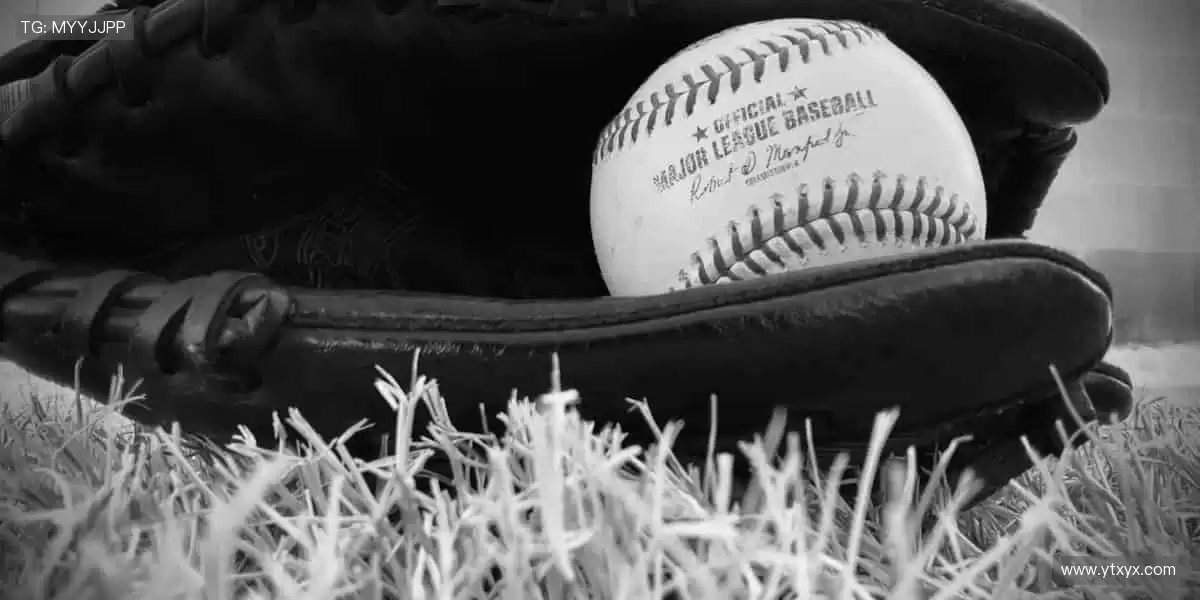 ⚡️ 速度与激情碰撞，